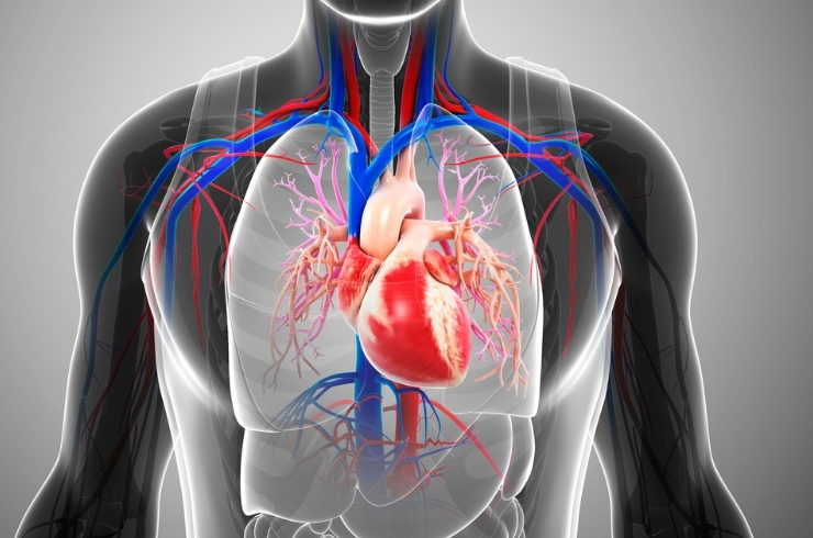 Hypertension image